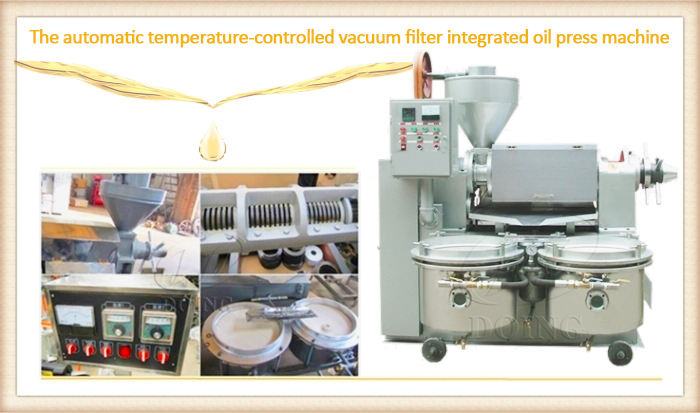 Sunflower oil press machine with filter Sunflower oil press machine with filter