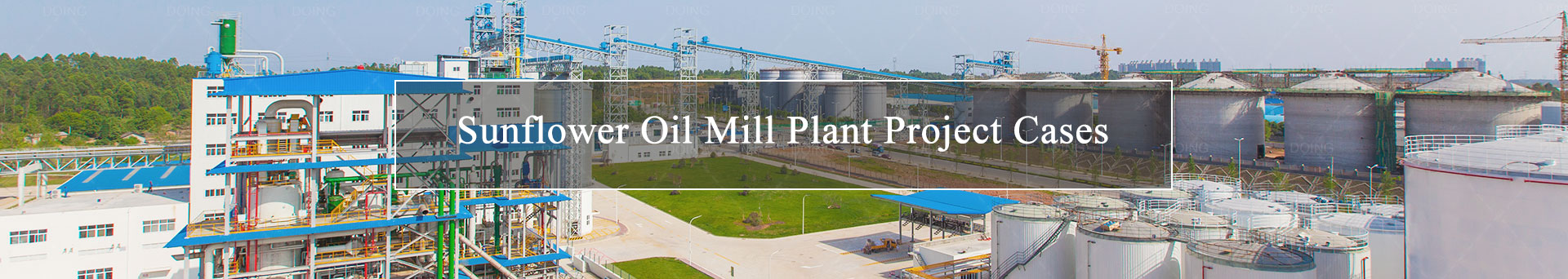 sunflower oil mill project