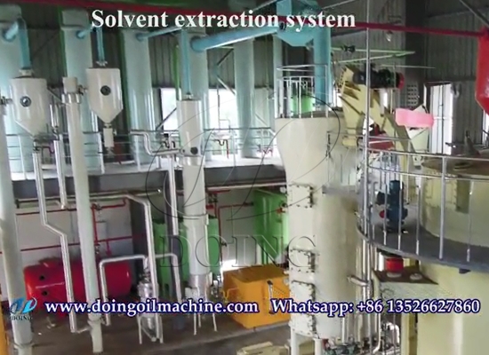 Sunflower oil solvent extraction plant project case showing video