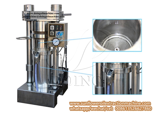 sunflower oil extraction machine