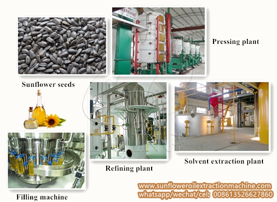 Sunflower oil production line