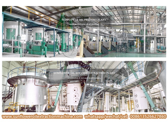 How to choose sunflower oil making machine manufacturers?