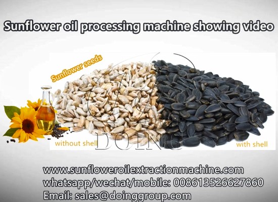 Sunflower oil pressing production line machine demonstrate video