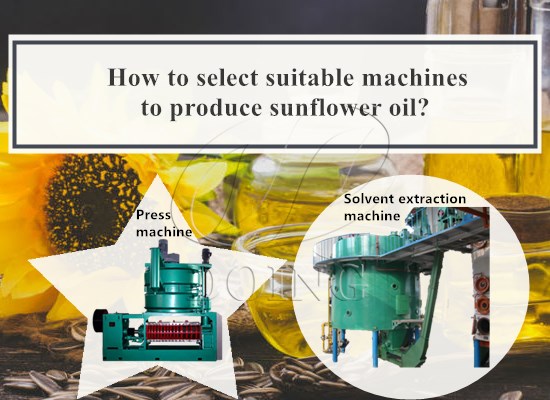 How to select suitable machines to produce sunflower oil?