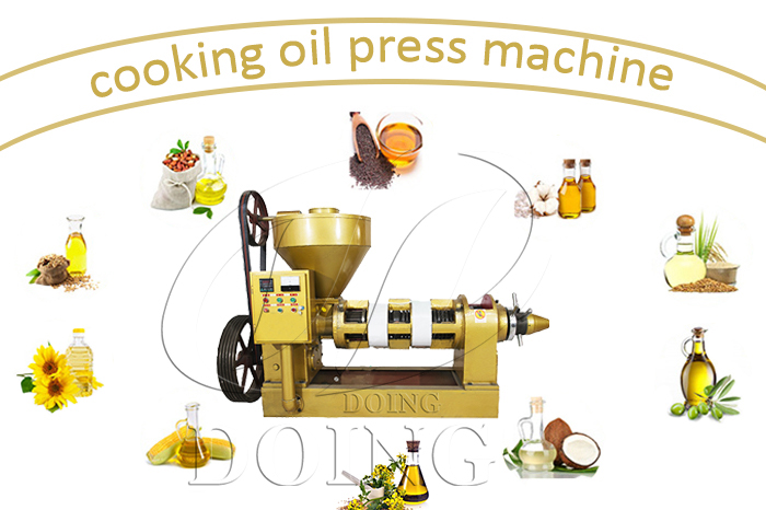 Sunflower oil press machine photo