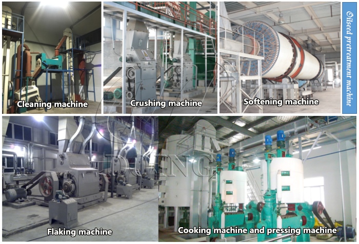 Sunflower oil processing machine photo