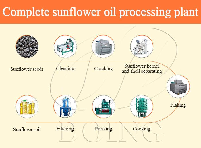 Sunflower oil processing plant photo
