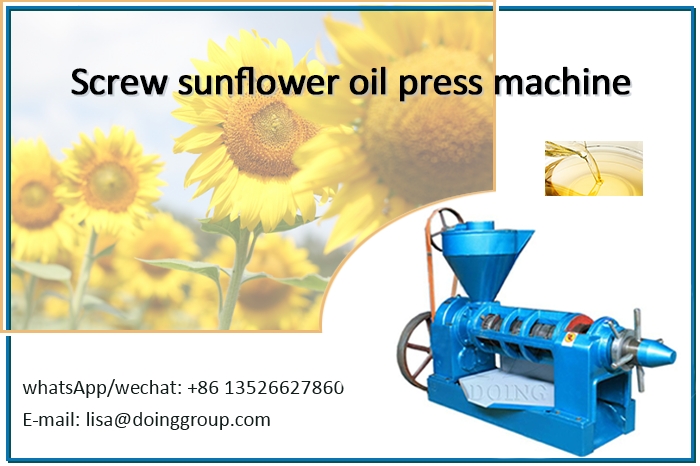 Sunflower oil press equipment photo
