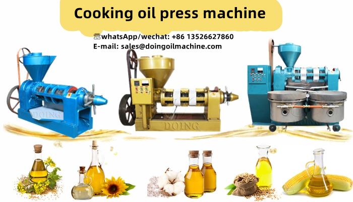 Screw sunflower oil press machine photo