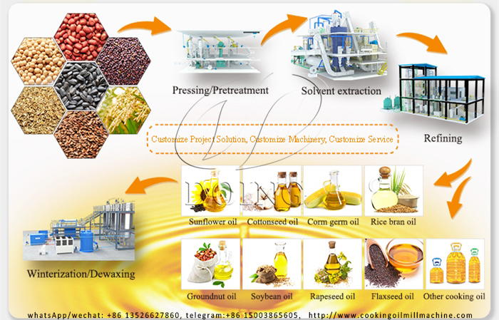 Small scale sunflower oil production line photo