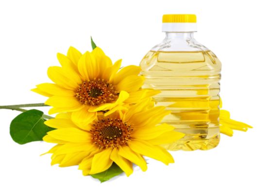 What is the cost of sunflower oil processing plant?