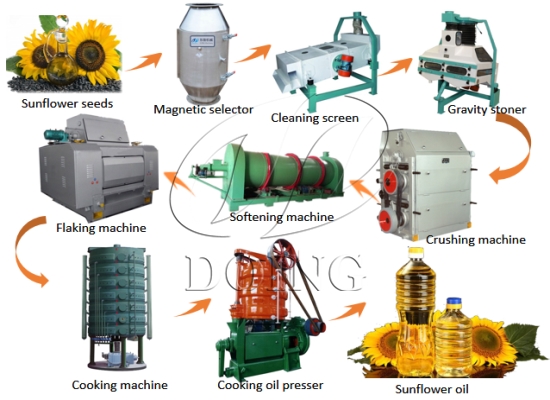 What are the different types of sunflower oil production machine?