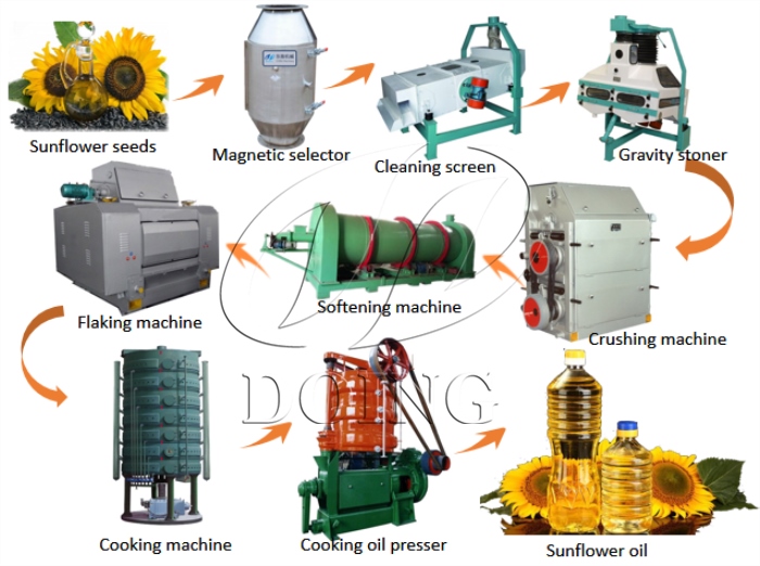 Different kinds of sunflower oil processing plants.jpg
