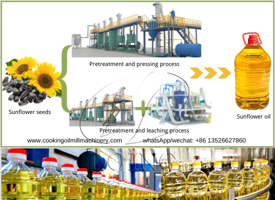 What is the extraction process of cold pressed sunflower oil?
