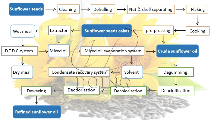 Sunflower oil extraction process.jpg