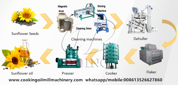 Sunflower oil extraction machines.jpg