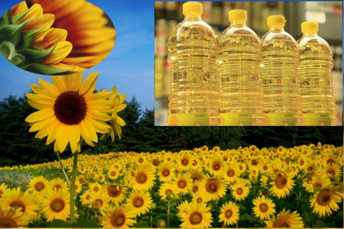 Sunflower seeds.jpg