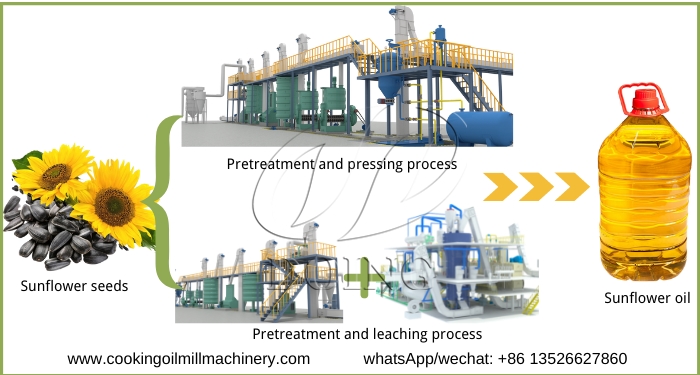 sunflower oil extraction processes.jpg