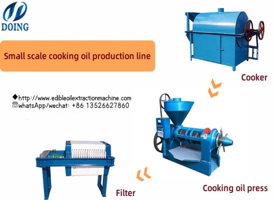How much cost raised to build a 10 tons per day sunflower oil extraction plant？