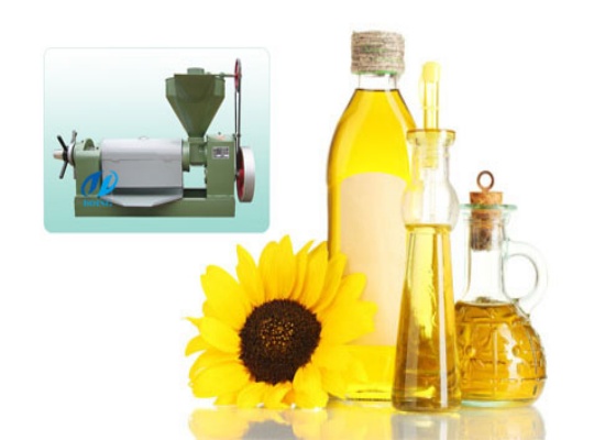 How to solve the problem of excess temperature of sunflower oil press machine?