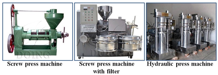 Sunflower oil pressing machines.jpg