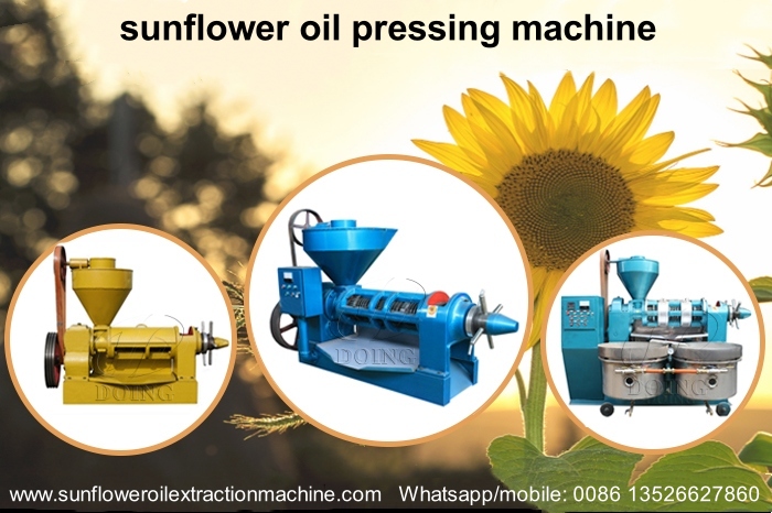 Sunflower oil pressing machines.jpg