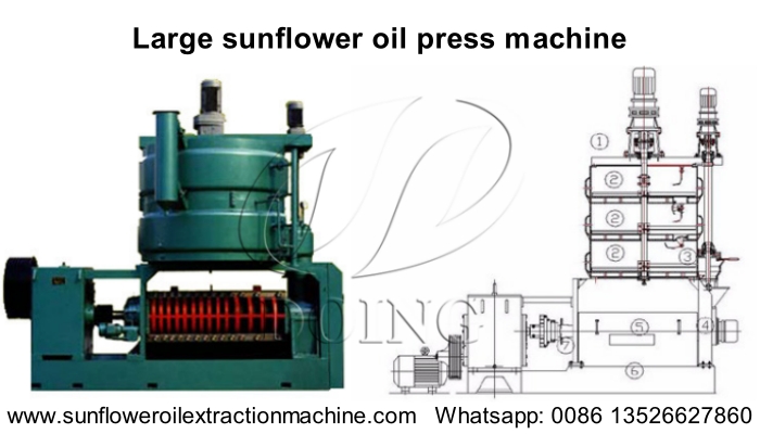 Large sunflower oil press machine.jpg