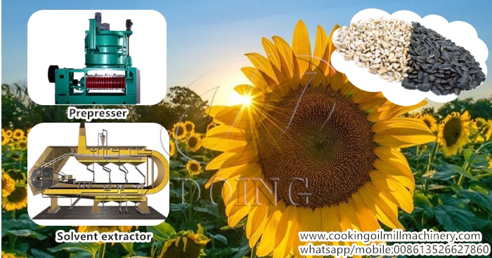 Sunflower oil extraction equipment.jpg