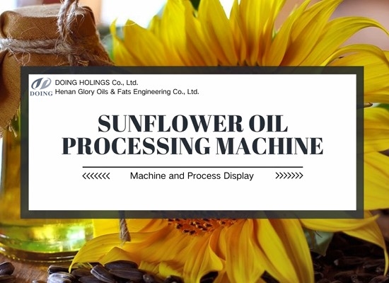 Machines used in large scale sunflower oil mill plant