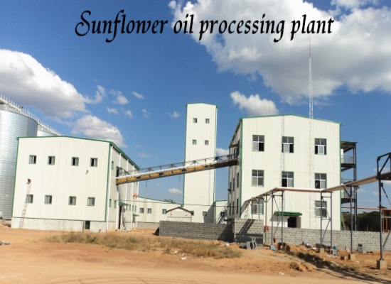 How long does it take to set up a sunflower oil processing plant in Zambia?