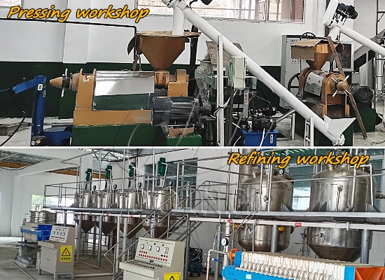 Complete set small scale cooking edible vegetable oil processing machine running video