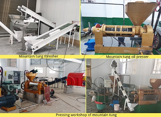 400kg/h mountain tung oil mill plant project in Hubei, China