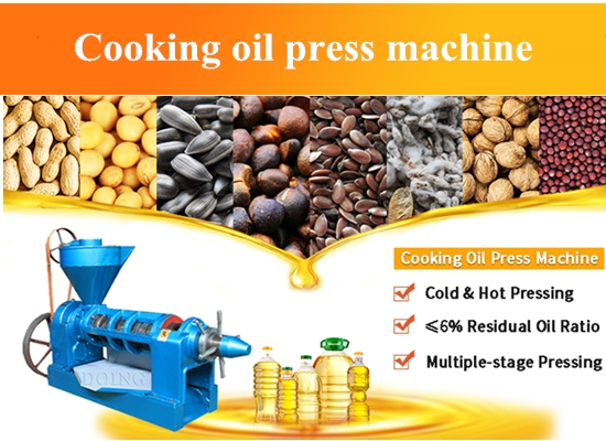 Working video of cooking oil expeller machine/screw cooking oil press machine