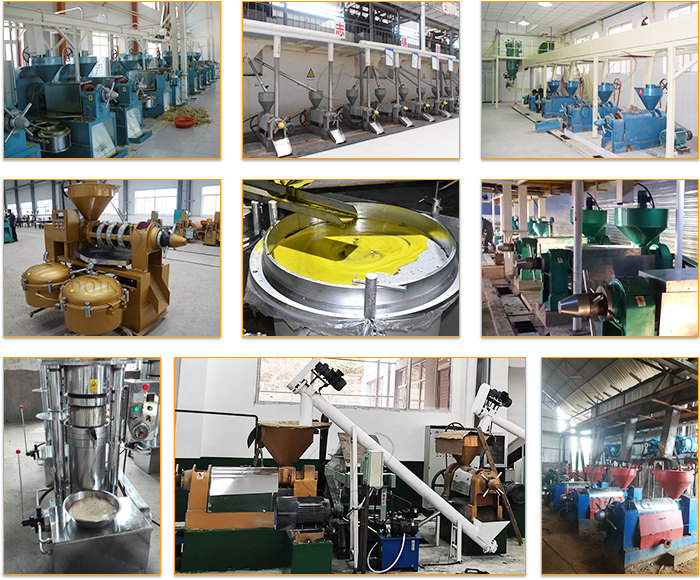 Cooking oil processing equipment project photo