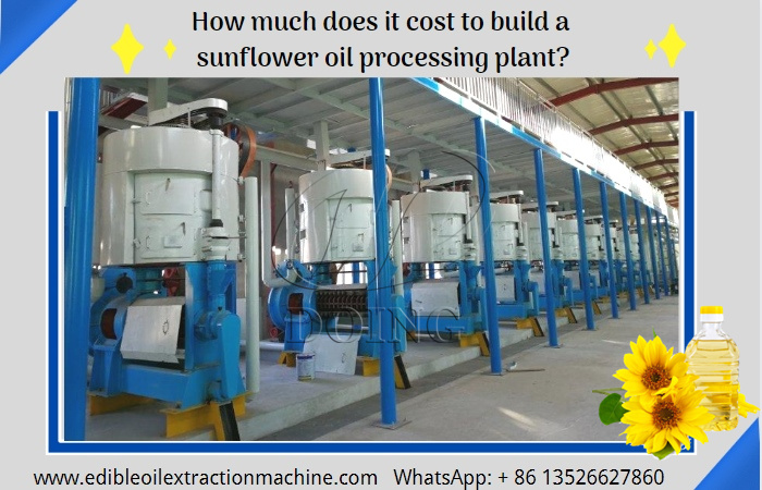 Sunflower oil extraction plant cost