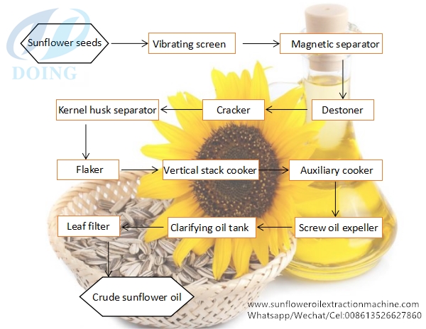 sunflower oil production process