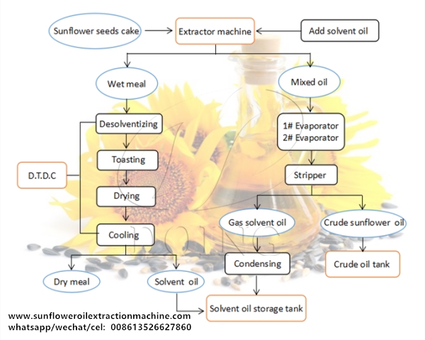 sunflower oil solvent extraction process