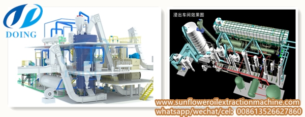 sunflower oil solvent extraction plant