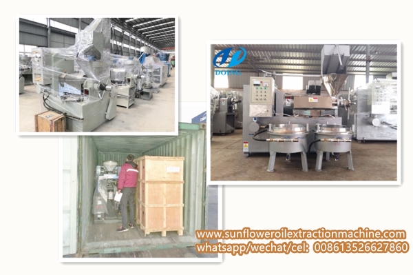 sunflower oil press machine in kenya