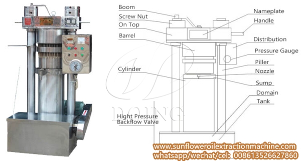 sunflower oil extraction machine