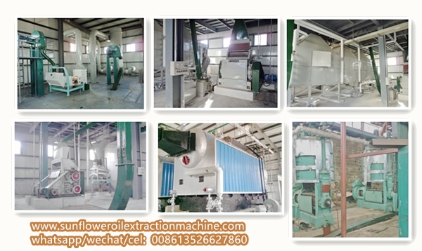 sunflower oil processing plant ethiopia