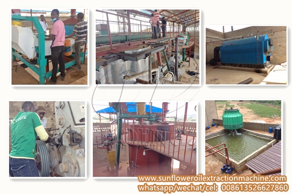 sunflower oil processing plant in Tanzania