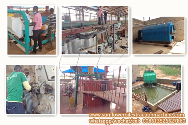 sunflower oil extraction machine