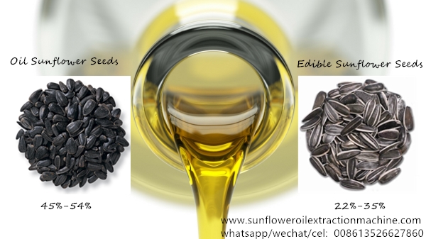 Sunflower oil