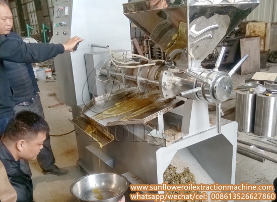 The integrated sunflower seed oil expeller machine passed the running test