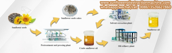 sunflower oil extraction process