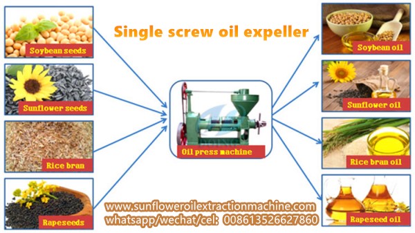 sunflower oil expeller machine