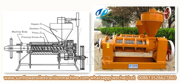 sunflower oil press machine