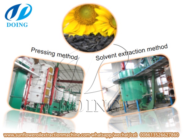 sunflower oil processing machine