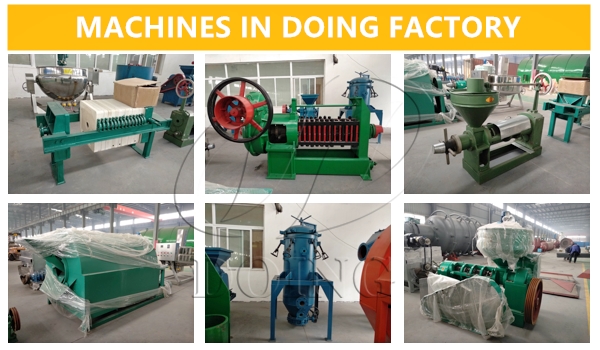 sunflower oil extraction machine